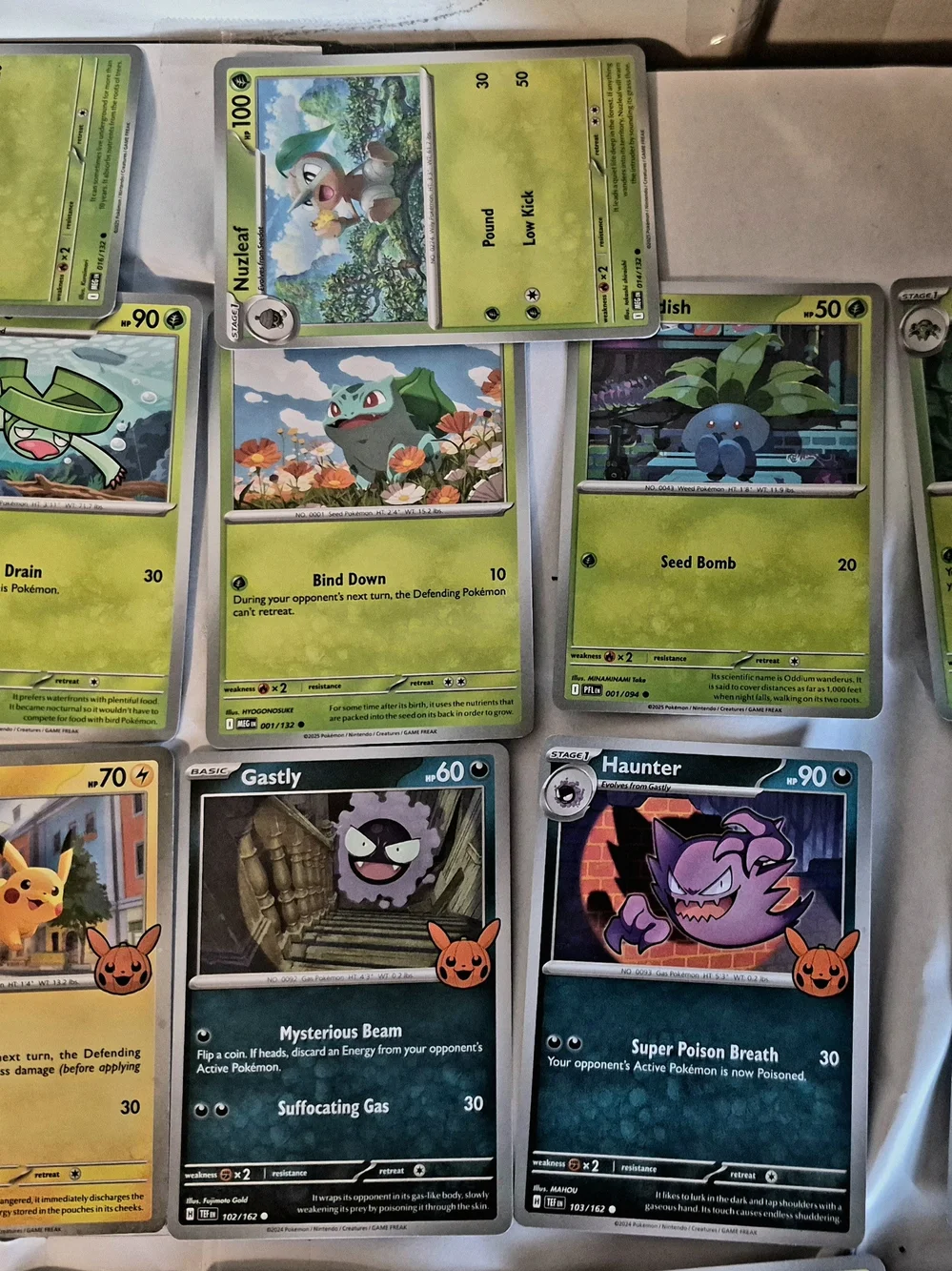 Pokémon mega kangaskhan